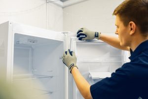 fridge repair engineer inspecting the inside of a fridge